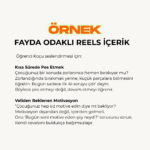 Öğrenci Koçluğu Instagram Paketi ( 90 Adet Post İçerik + 65 Adet Post Canva Şablon) - Görsel 8