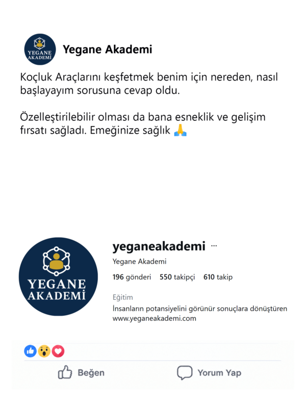 Yegane Akademi 17